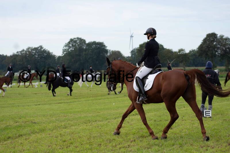 dsc_5198-standard-ntwyry.jpg