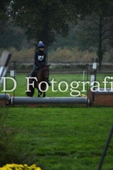 dsc_8981-standard-fu7dmt.jpg