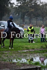 dsc_8984-standard-agb8oi.jpg