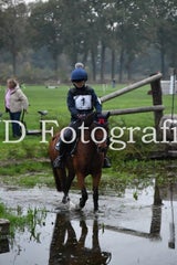 dsc_8987-standard-1jtg4p.jpg