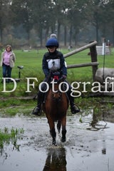 dsc_8989-standard-qbyqi0.jpg
