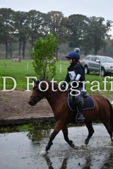 dsc_8995-standard-ae39bm.jpg