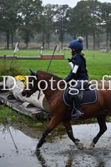 dsc_8997-standard-stw3jr.jpg