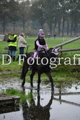 dsc_9006-standard-39d4o7.jpg