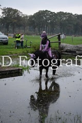 dsc_9013-standard-3jam0m.jpg