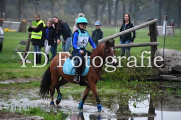 dsc_9027-standard-i8iz1o.jpg