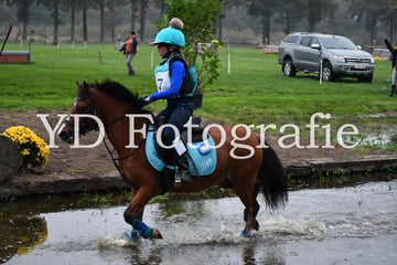 dsc_9040-standard-sifbqg.jpg