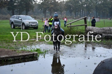 dsc_9051-standard-7eyb8w.jpg