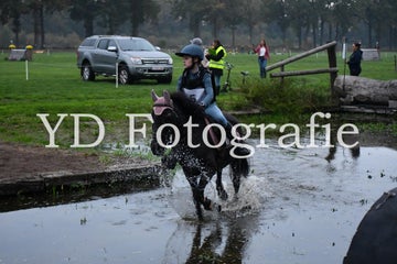 dsc_9056-standard-1b367p.jpg