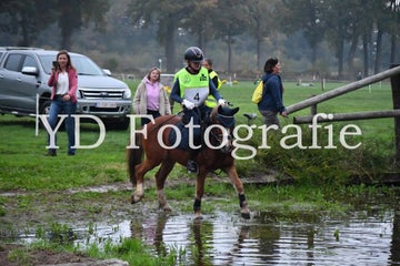 dsc_9059-standard-0hv533.jpg
