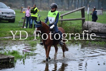 dsc_9067-standard-u0ikhh.jpg