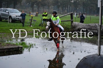 dsc_9085-standard-g2n918.jpg