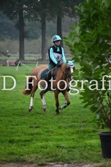 dsc_9095-standard-pfl1up.jpg
