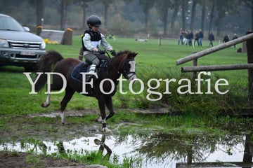 dsc_9116-standard-tajrtd.jpg