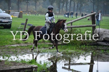 dsc_9117-standard-magjvn.jpg