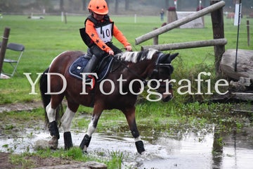 dsc_9136-standard-nxfkqk.jpg