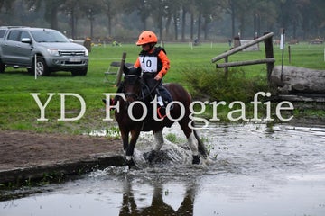 dsc_9142-standard-t31s58.jpg