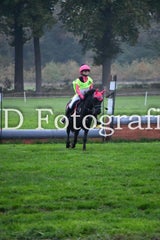 dsc_9151-standard-r9u0ph.jpg