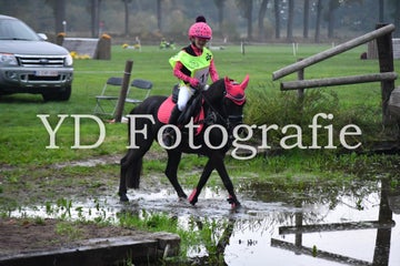 dsc_9155-standard-d3qeou.jpg
