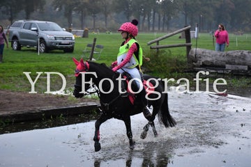 dsc_9165-standard-1tknky.jpg