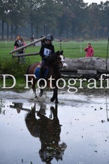 dsc_9180-standard-vloy6v.jpg