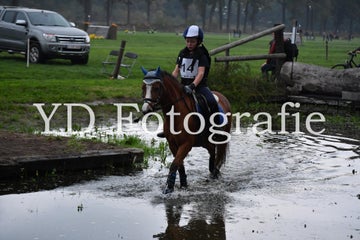 dsc_9202-standard-vngk40.jpg