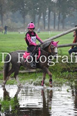 dsc_9212-standard-3ckzq4.jpg