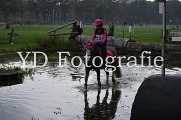 dsc_9216-standard-0xwl4x.jpg
