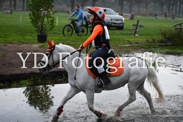 dsc_9233-standard-7zpc3h.jpg