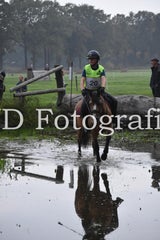 dsc_9311-standard-yhm191.jpg