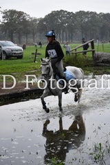 dsc_9334-standard-1uqr11.jpg