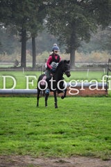 dsc_9342-standard-502qic.jpg