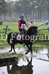 dsc_9346-standard-cyppa5.jpg