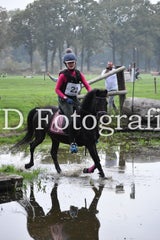 dsc_9347-standard-z6iqjv.jpg
