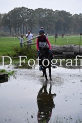 dsc_9350-standard-hifn7a.jpg