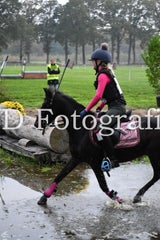 dsc_9357-standard-n6g0cy.jpg