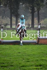 dsc_9359-standard-hxtm0d.jpg
