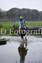 dsc_9368-standard-r0nmto.jpg