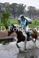 dsc_9374-standard-0pm06b.jpg