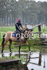 dsc_9403-standard-aho8mj.jpg