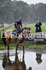 dsc_9404-standard-yig79f.jpg