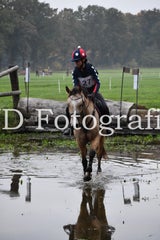 dsc_9406-standard-1vv9v1.jpg
