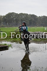 dsc_9426-standard-ltgp94.jpg