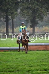 dsc_9433-standard-ion5cc.jpg
