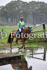 dsc_9438-standard-xswzqh.jpg