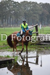 dsc_9439-standard-4my2at.jpg
