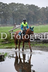 dsc_9442-standard-0m4xt9.jpg