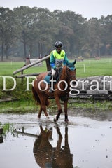 dsc_9443-standard-nupfqc.jpg