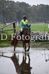dsc_9444-standard-8g3t51.jpg