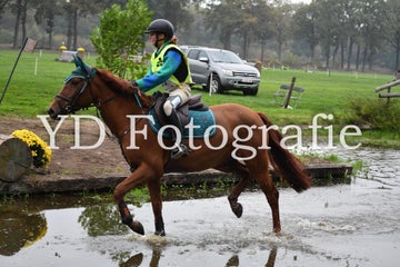 dsc_9451-standard-qi4v99.jpg